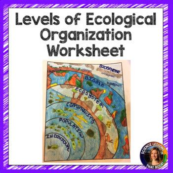 Levels of Ecological Organization Worksheet by Science Lessons That Rock